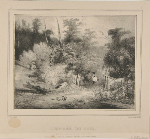 THE ENTRANCE TO THE FOREST