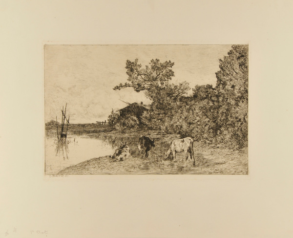 COWS NEAR A WATER MILL