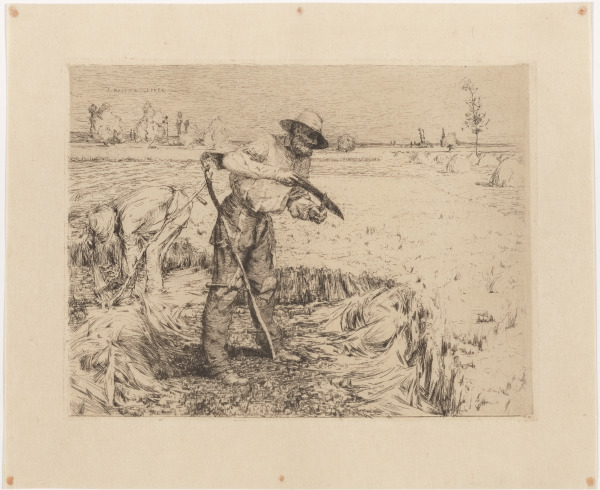 HARVESTERS IN DAMVILLERS (MEUSE)