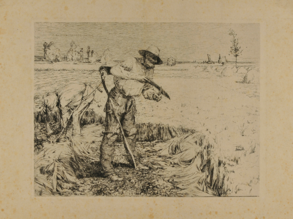 HARVESTERS AT DAMVILLERS (MEUSE)