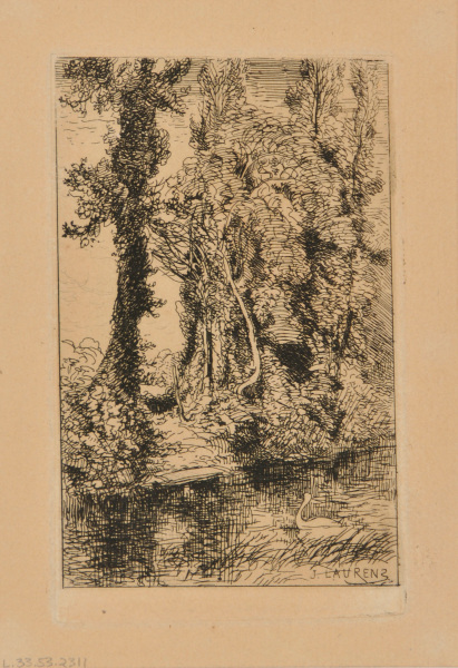 Landscape: Trees by a River