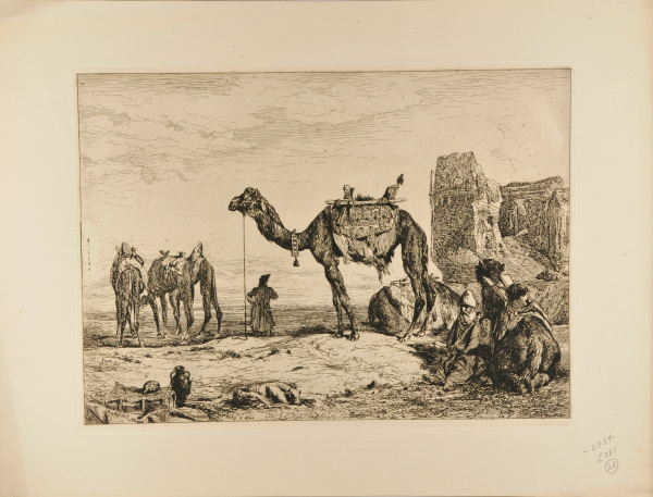 Sous les Murs de Téhéran