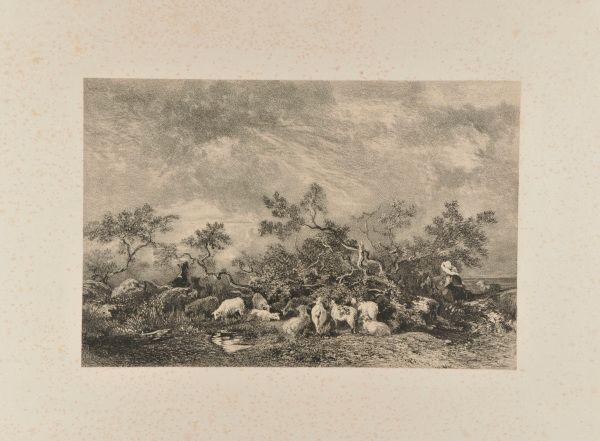 Sheep in a Stormy Landscape