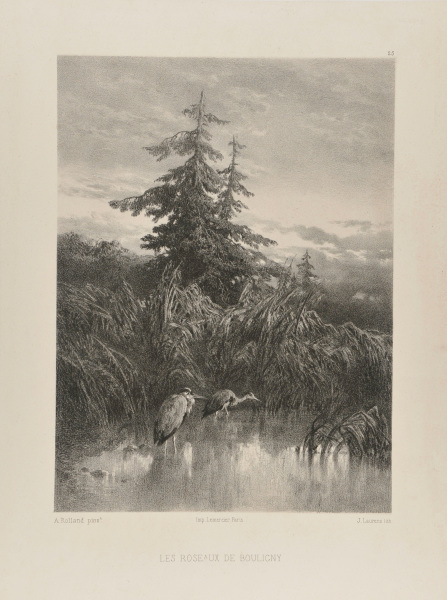 Les Roseaux de Bouligny