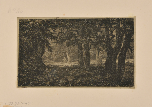 THE SMALL FOREST FLOOR