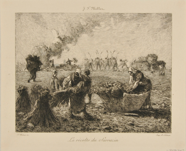 La Récolte du Sarrazin