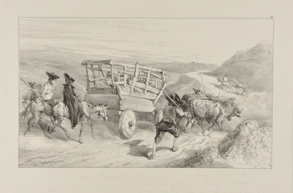 Don Quixote, ill. #19