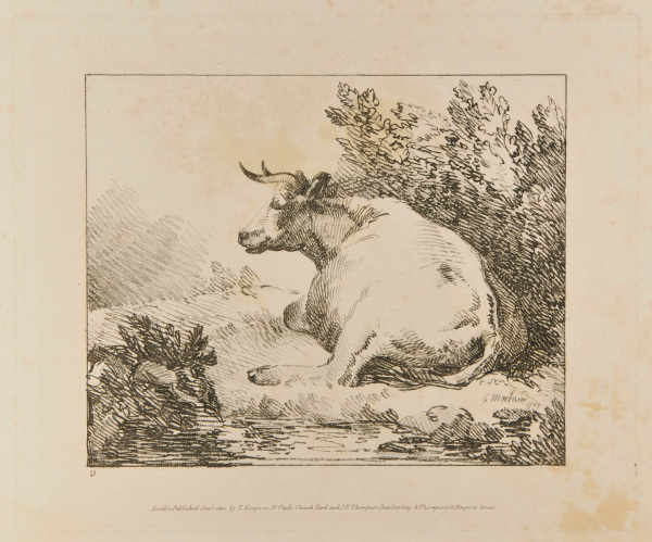 COW SEATED (SEEN LENGTHWISE)
