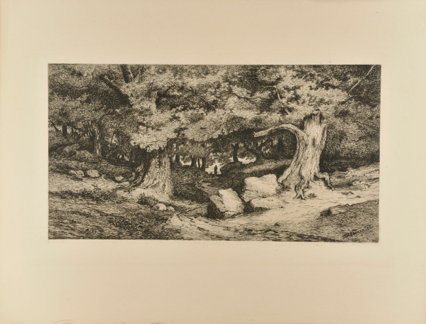 Environs du Château Gontier