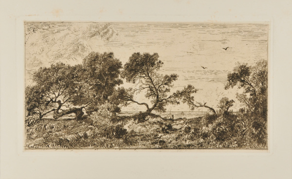 Landscape: Windswept Trees and Two Birds in the Sky