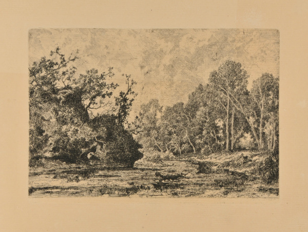 Landscape: Animals near a River