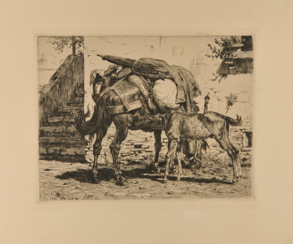 MARE WITH NURSING FOAL