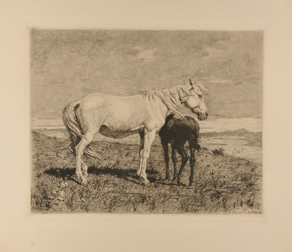 MARE AND FOAL