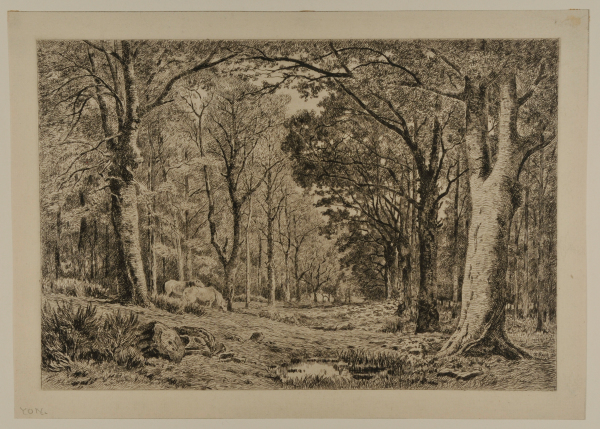 Forest Scene with Horses Grazing