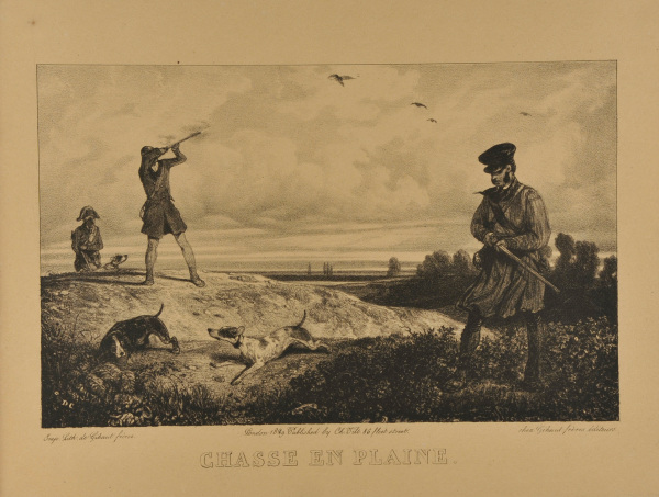 Chasse au plaine