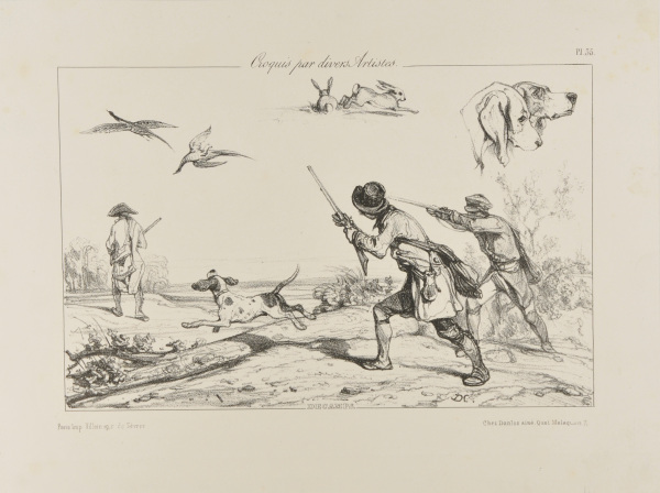 Sketches of bird hunting, rabbits, and dogs