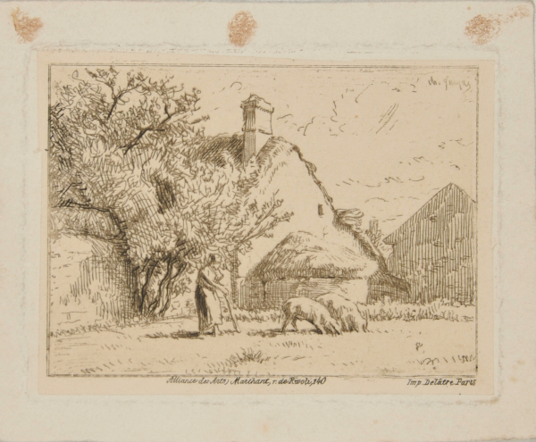 A WOMAN MINDING PIGS