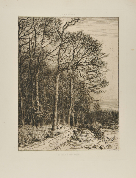 Paysage: Hiver – Lisière de forêt