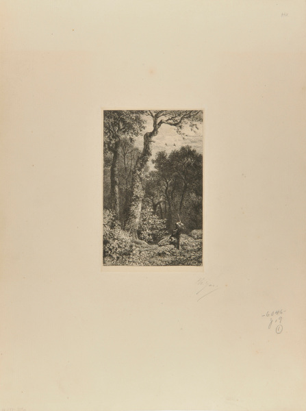 SHOOTING AT WOODCOCKS