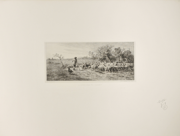 L’Arrivée au champ