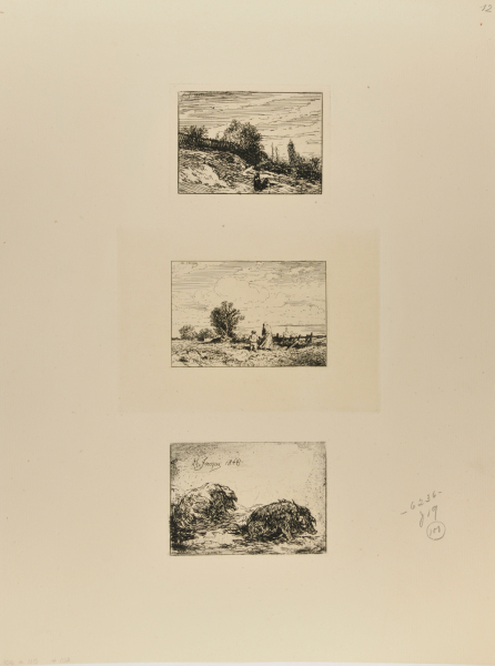 THE BUSH: LANDSCAPE; LANDSCAPE; SLEEPING PIGS