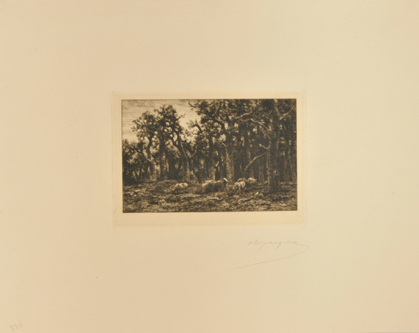 THE SMALL FOREST: WINTER