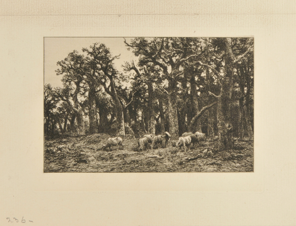 THE SMALL FOREST: WINTER