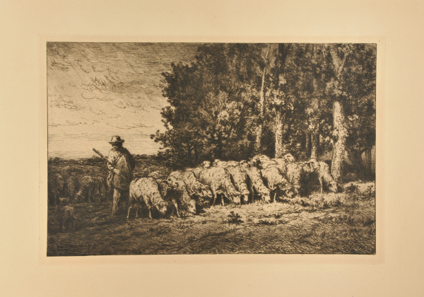 FLOCK AT THE EDGE OF A WOODS