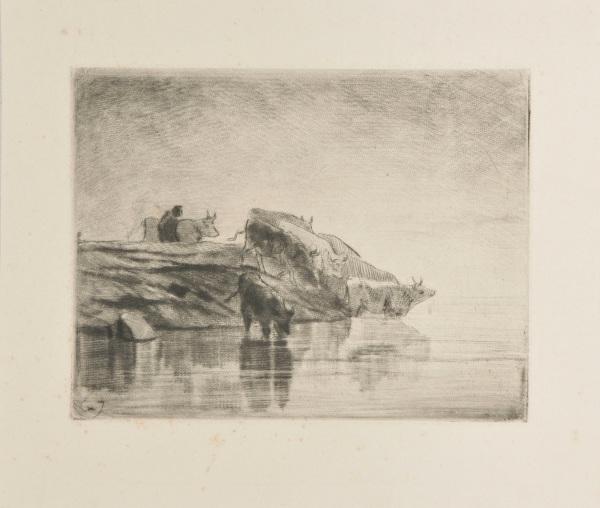 COWS AT THE WATERING PLACE