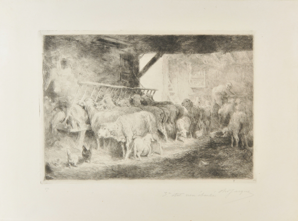 INTERIOR OF A SHEEPFOLD