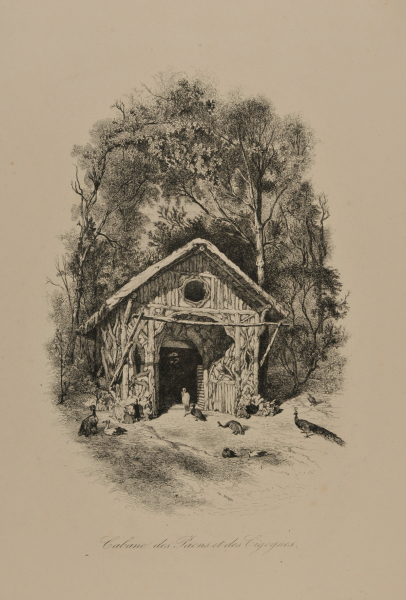 HUT FOR PEACOCKS AND STORKS