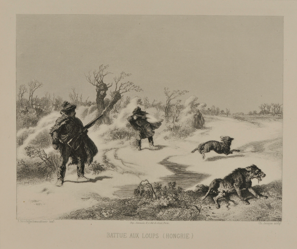 HUNT FOR WOLVES (HUNGARY)