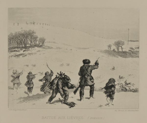 HUNT FOR HARES (HUNGARY)