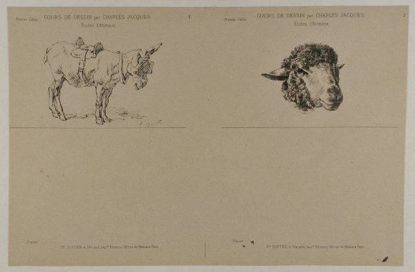 MULE WITH SADDLE, SHEEP'S HEAD