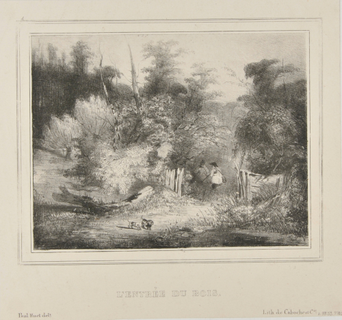 THE ENTRANCE TO THE FOREST