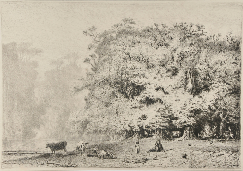 LANDSCAPE NEAR FONTAINEBLEAU