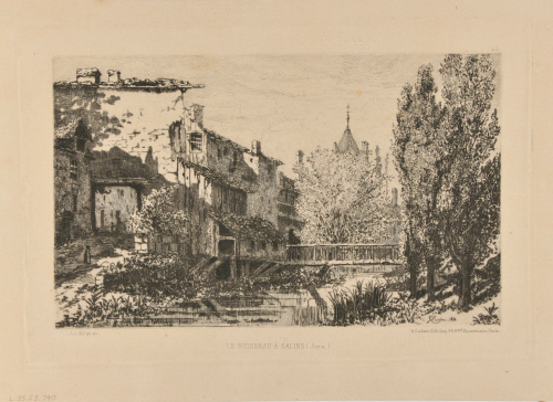 THE STREAM IN SALINS (JURA)