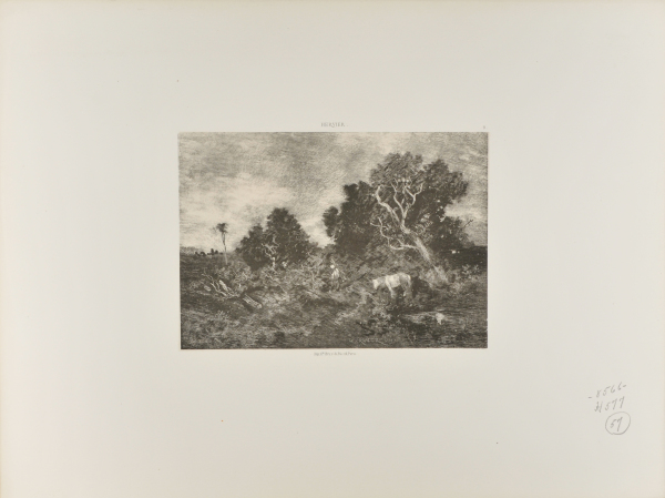 WOMAN WITH A WHITE HORSE GATHERING WOOD