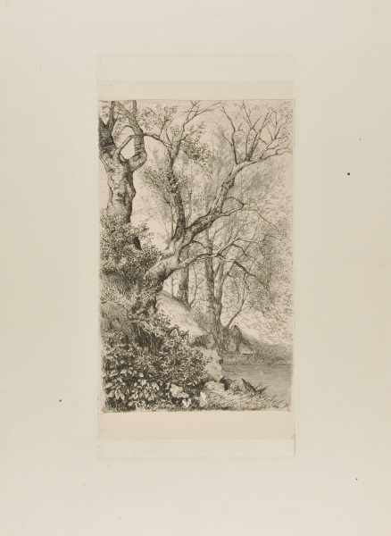 LANDSCAPE WITH TREES ON THE ROCKY BANKS OF A POND