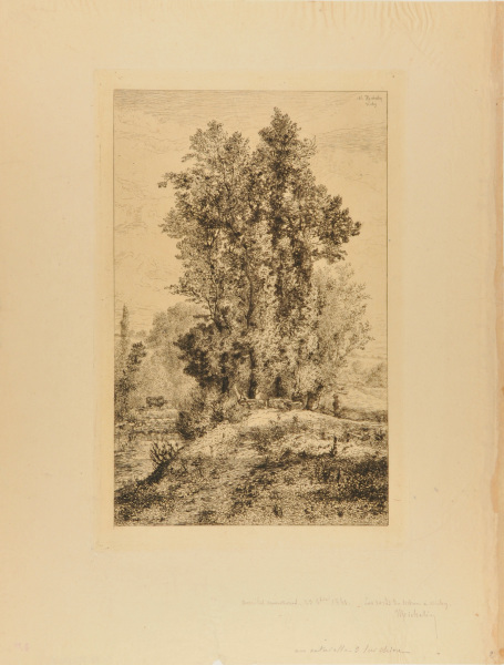 THE BANKS OF THE SICHON IN VICHY