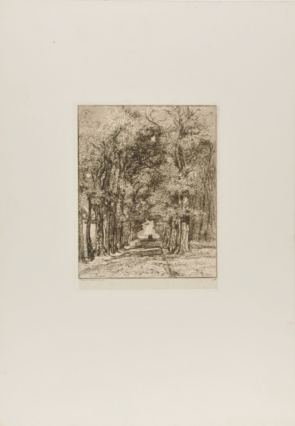 PATH IN THE PARC DE SAINT-CLOUD