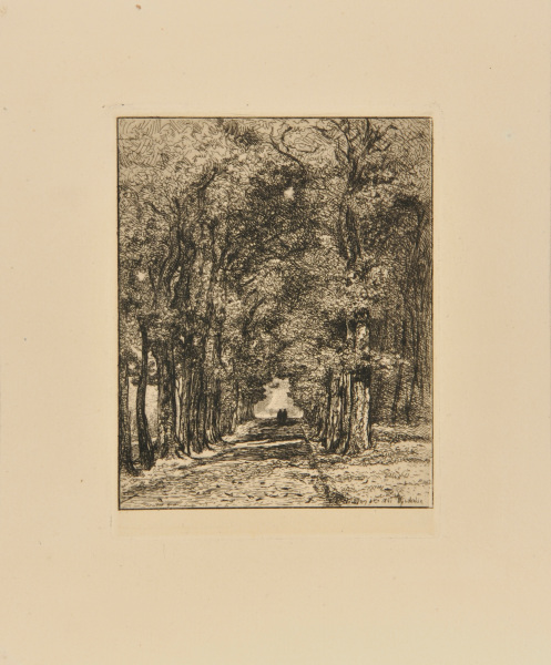 PATH IN THE PARC DE SAINT-CLOUD