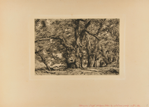 CHESTNUT GROVE IN ROYAT