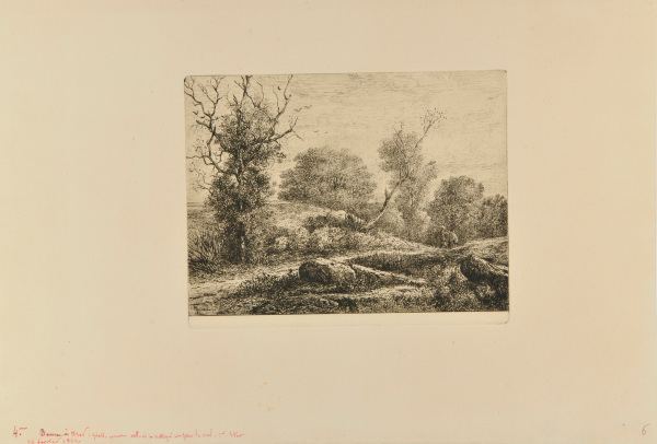 LANDSCAPE IN AUVERGNE