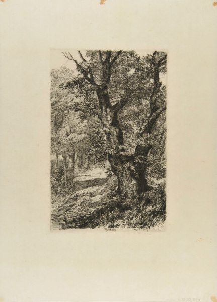 CHESTNUT TREES IN ROYAT (SECOND PLATE)