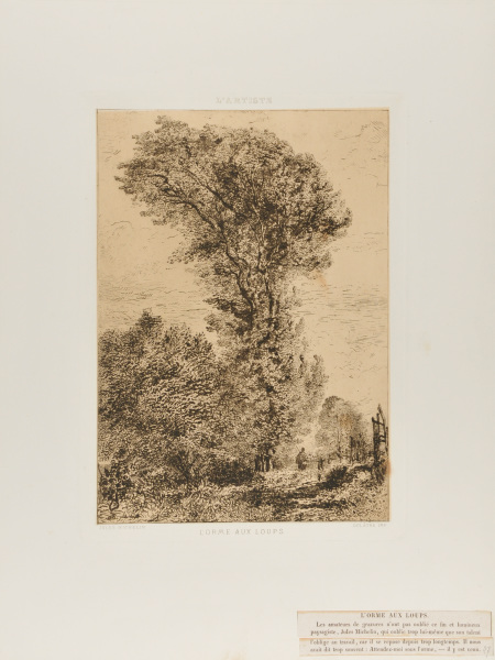 L'ORME AUX LOUPS