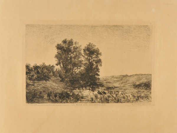 La Mare aux Grenouilles