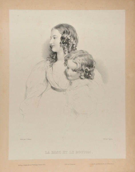 THE ROSE AND THE BUTTON