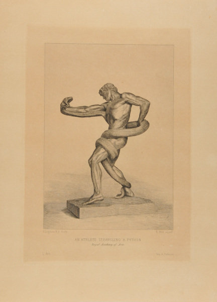 AN ATHLETE STRANGLING A PYTHON