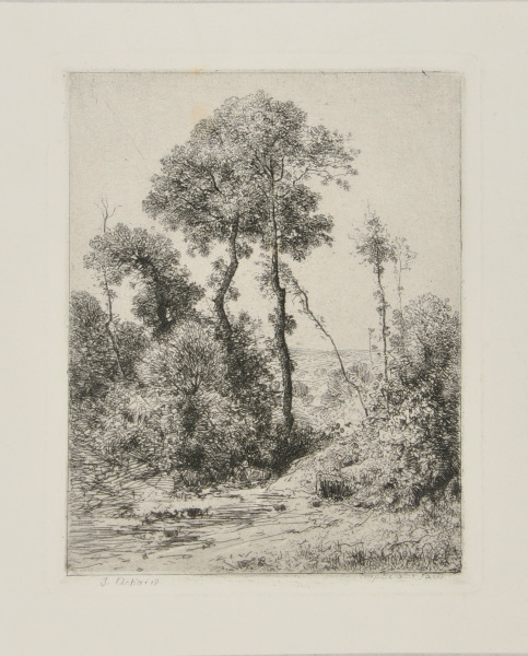 MOTIF D'ARBRES EN HAUTEUR